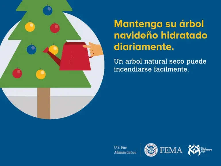 Mantenga su árbol navideño hidratado. un árbol natural seco puede incendiarse fácilmente.