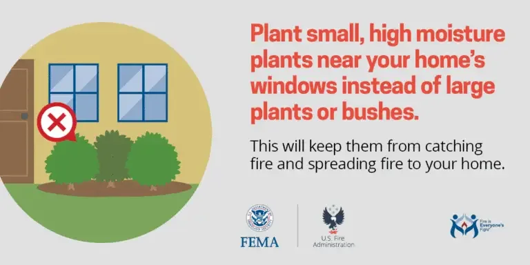 Fire safety tip: opt for planting small, high moisture plants near your home's windows instead of large shrubs or bushes to reduce the risk of fire spreading to your home.